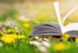 An open book in the grass with flowers nearby