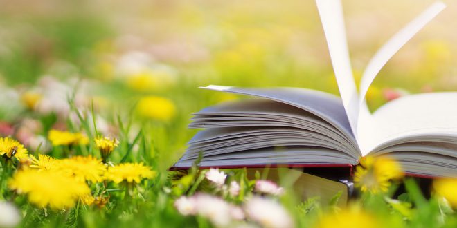 An open book in the grass with flowers nearby