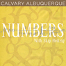 04 Numbers - 1995 Audiobook, by Skip Heitzig
