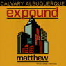 40 Matthew - 2011 Audiobook, by Skip Heitzig