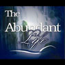 The Abundant Life: Why Christians Arent Rich Audiobook, by Dr. Shannon C. Cook