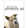 According to Phoenix (Unabridged) Audiobook, by Sondra Gray