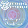 Activa tus Chakras Hipnosis (Open Your Chakras Hypnosis) Audiobook, by Erika Perez