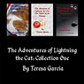 The Adventures of Lightning the Cat: The Adventures of Lighting the Cat, Book 1 (Unabridged) Audiobook, by Teresa Garcia