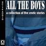 All The Boys (Unabridged) Audiobook, by Sommer Marsden