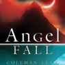 Angel Fall: A Novel (Unabridged) Audiobook, by Coleman Luck