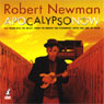 Apocalypso Now: Or From P45 to AK47, How to Grow the Economy with the Use of War Audiobook, by Robert Newman