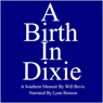 A Birth in Dixie: A Southern Memoir (Unabridged) Audiobook, by Will Bevis