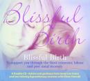 Blissful Birth (Unabridged) Audiobook, by Glenn Harrold