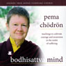 Bodhisattva Mind: Teachings to Cultivate Courage and Awareness in the Midst of Suffering (Abridged) Audiobook, by Pema Chodron
