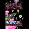Borgel (Unabridged) Audiobook, by Daniel Pinkwater