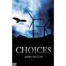 Choices (Unabridged) Audiobook, by James Willcox