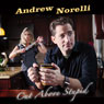 Cut Above Stupid Audiobook, by Andrew Norelli