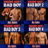 Dangerous Daddys Bad Boy 1 - 4 (Unabridged) Audiobook, by Alex Anders