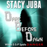 Dark Before Dawn (Unabridged) Audiobook, by Stacy Juba