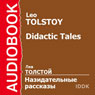 Didactic Tales (Abridged) Audiobook, by Leo Tolstoy