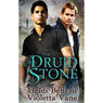 The Druid Stone (Unabridged) Audiobook, by Heidi Belleau