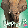 Elephants (Abridged) Audiobook, by Sydnie M. Kleinhenz