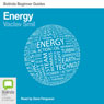 Energy: Bolinda Beginner Guides (Unabridged) Audiobook, by Vaclav Smil