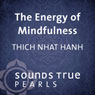 Energy of Mindfulness: Entering the Heart of Reality Audiobook, by Thich Nhat Hanh