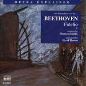 Fidelio: Opera Explained Audiobook, by Thomson Smillie
