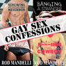 Gay Sex Confessions Story Collection, Volume 1 (Unabridged) Audiobook, by Rod Mandelli