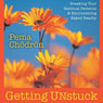 Getting Unstuck: Breaking Your Habitual Patterns and Encountering Naked Reality Audiobook, by Pema Chodron