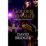 Golden Triangle: Wild Times, Book 2 (Unabridged) Audiobook, by David Bridger