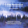 Guided Meditations: For Calmness, Awareness, and Love (Unabridged) Audiobook, by Bodhipaksa