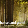 Hansel and Gretel (Unabridged) Audiobook, by Saland Publishing