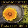 How to Meditate with Pema Chodron Audiobook, by Pema Chodron