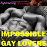 Impossible Gay Lovers: Directed Erotic Visualisation Audiobook, by Essemoh Teepee