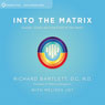 Into the Matrix: Guides, Grace, and the Field of the Heart Audiobook, by Richard Bartlett