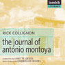 The Journal of Antonio Montoya (Unabridged) Audiobook, by Rick Collignon