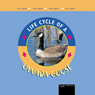 Life Cycles: Canada Goose (Unabridged) Audiobook, by Jason Cooper