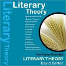 Literary Theory: The Pocket Essential Guide (Unabridged) Audiobook, by David Carter