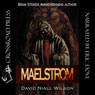 Maelstrom (Unabridged) Audiobook, by David Niall Wilson