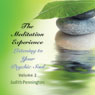 The Meditation Experience: Listening to Your Psychic Soul, Vol. 2 Audiobook, by Judith Pennington