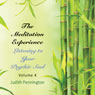 The Meditation Experience, Vol. 4 Audiobook, by Judith Pennington