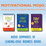 Motivational Mojo: Energizing Lessons from Seattles Pike Place Fish Market (Abridged) Audiobook, by Stephen C. Lundin