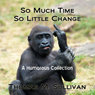 So Much Time, So Little Change (Unabridged) Audiobook, by Thomas M. Sullivan