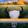 Native American Healing Meditations: Guided Practices to Invoke the Spirit of Healing Audiobook, by Lewis Mehl-Madrona