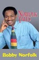 Norfolk Tales (Abridged) Audiobook, by Bobby Norfolk