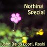 Nothing Special: Nanquans Nothing Special Audiobook, by John Daido Loori Roshi
