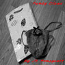 Panty Claus (Unabridged) Audiobook, by J. K. Honeycutt