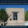 Petrified Forest National Park, Arizona: Audio Journeys Audiobook, by Patricia L. Lawrence