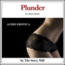 Plunder (Unabridged) Audiobook, by Peter Rawn Klein