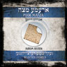 Poor Matza: Selected stories of Avrom Reisen translated from the Yiddish by Harvey Fink (Unabridged) Audiobook, by Avrom Reisen