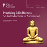 Practicing Mindfulness: An Introduction to Meditation Audiobook, by The Great Courses
