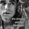 The Princess and the Huntsman (Unabridged) Audiobook, by Alexia Wells